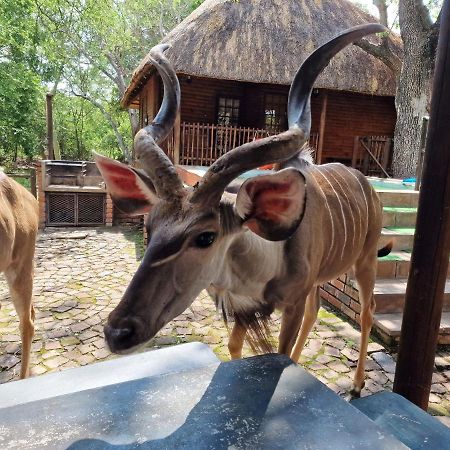 Carpe Diem Villa Marloth Park Exterior photo